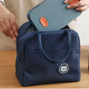 Modern and portable lunch bag for office, school, and picnics